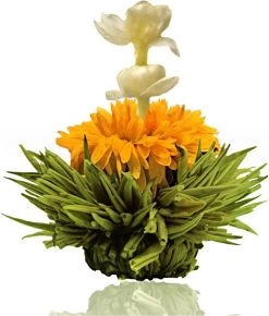 Creano Theebloemen Pakket Groene Thee - Fruitsmaken - 6 Stuks - -Voedsel Winkel 1023x1200 1