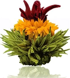 Creano Theebloemen Pakket Groene Thee - Fruitsmaken - 6 Stuks - -Voedsel Winkel 1073x1200