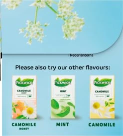 Pickwick Sterrenmunt Kruidenthee - 4 X 20 Zakjes -Voedsel Winkel 1091x1200 1