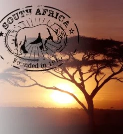 Soolong South Africa Nr40 Rooibos Cadeau Of Proefpakket Met Vier Luxe Theeen - Losse Rooibos & Honeybush - Ideaal Als Relatiegeschenk, Proeverij Of Met Valentijnsdag - Assortiment 4stuks -Voedsel Winkel 1096x1200 2