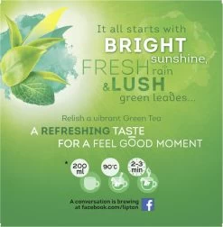 Lipton Intense Mint Groene Thee, Met De Verfrissende Smaak Van Groene Thee En Echte Muntblaadjes - 4 X 20 Zakjes - PL-EKO-03 -Voedsel Winkel 1176x1200 2