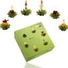 Creano Theebloemen Pakket Groene Thee - Fruitsmaken - 6 Stuks -