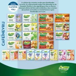 Pickwick Sterrenmunt Kruidenthee - 4 X 20 Zakjes -Voedsel Winkel 1200x1200 298