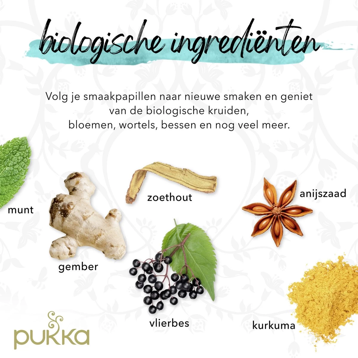 Pukka Original Kruidenthee Geschenkdoos - 9 Blends Biologische Kruidenthee, Ook Leuk Als Verjaardagscadeau - 45 Zakjes - Theedoos - GB-BIO-05 10 Pukka Original Kruidenthee Geschenkdoos - 9 Blends Biologische Kruidenthee, Ook Leuk Als Verjaardagscadeau - 45 Zakjes - Theedoos - GB-BIO-05 - Afbeelding 10