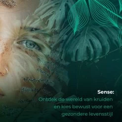Soolong Sense China Nr11 Gember Thee - Verkwikkend & Krachtig - Gember & Citroengras - Duurzame Losse Thee - Premium Kruidenthee Uit China - Blik 25gram -Voedsel Winkel 1200x1200 309