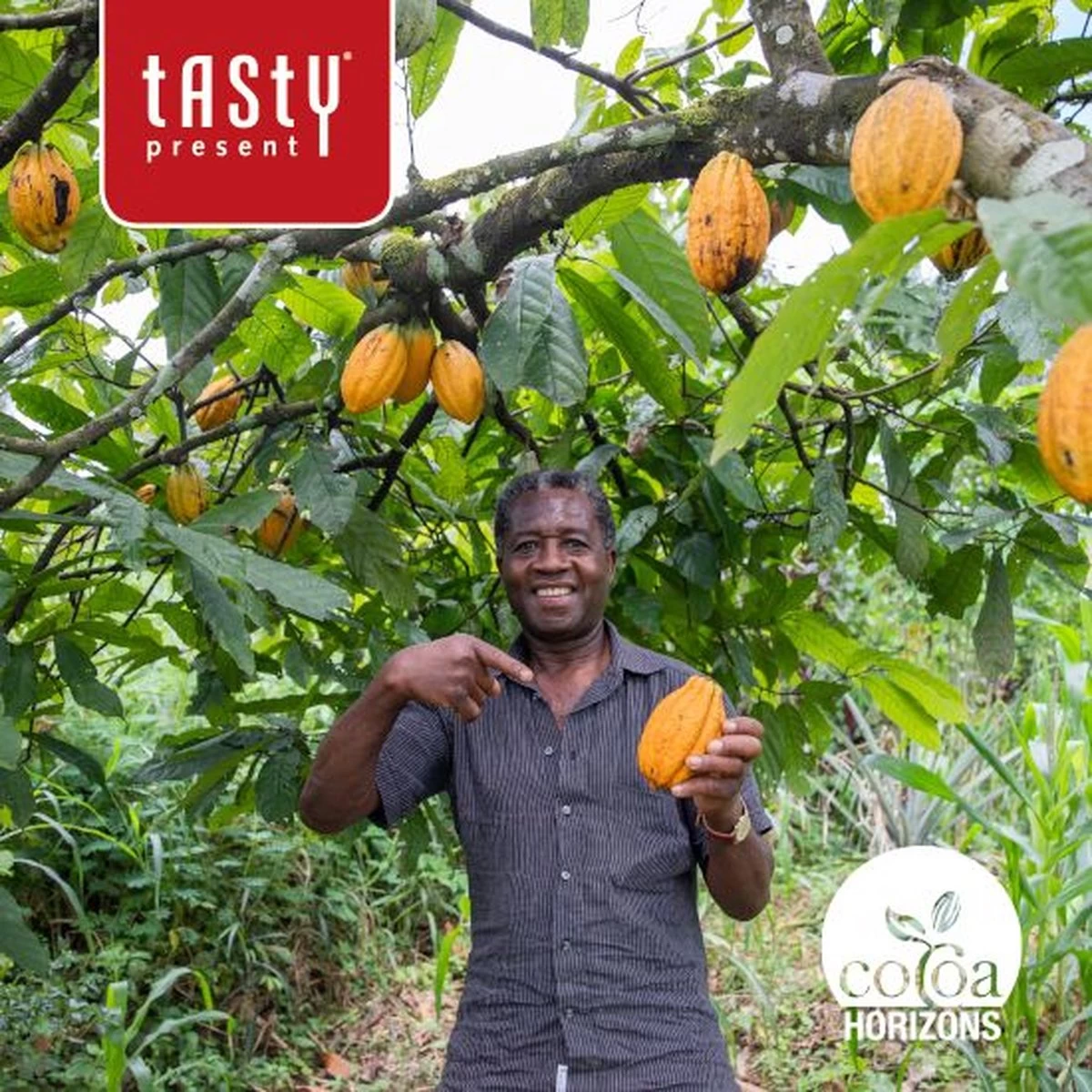 Gedecoreerde Halve Paaseitjes: 15 | Chocoladecadeau | Pasen | Paaschocolade 4 Gedecoreerde Halve Paaseitjes: 15 | Chocoladecadeau | Pasen | Paaschocolade - Afbeelding 4