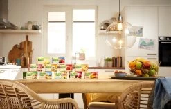 Pickwick Bosvruchten Fruit Thee - 12 X 20 Zakjes -Voedsel Winkel 1200x770 2