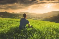 Teamasters Pure, Blends & Specials Mixbox - Gratis RVS Filter - Biologische Losse Thee - Rooibos - Munt - Citroen - Groene Thee - Jasmijn Thee - Zwarte Thee - Gember - Witte Thee - Framboos - Passievrucht - Theedoos - Zomer - Geschenkset -Voedsel Winkel 1200x799 12