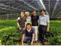 Japanse Matcha Cadeau Set - Het Perfecte Cadeau! ✔ Vandaag Besteld, Morgen In Huis ✔ Gratis Matcha Boek Bij Uw Bestelling! -Voedsel Winkel 1200x911 3