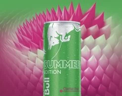 Red Bull Summer Cactus Edition - 24 X 25cl -Voedsel Winkel 1200x942 1