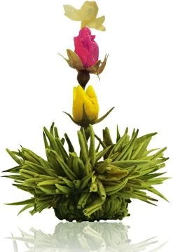 Creano Theebloemen Pakket Groene Thee - Fruitsmaken - 6 Stuks - -Voedsel Winkel 826x1200 1