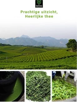 TMomentes® High Quality Culinary MATCHA Thee - Matcha Poeder - Matcha Thee - 100% Organisch Gecertificeerd - 100 Gram -Voedsel Winkel 907x1200