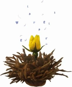 Creano Geschenkset Theebloemen (6 Stuks) En Glazen Theekan -Voedsel Winkel 994x1200